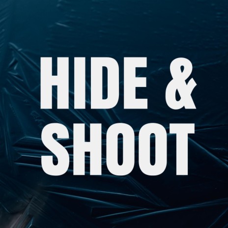 Hide and Shoot | Boomplay Music
