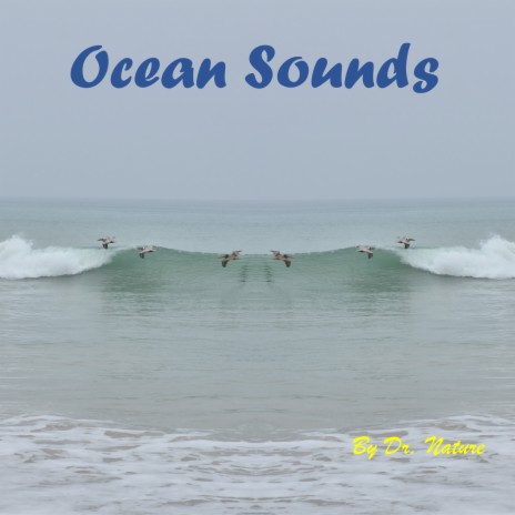 Pacific Ocean | Boomplay Music