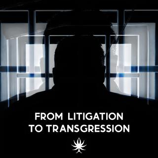 From Litigation to Transgression