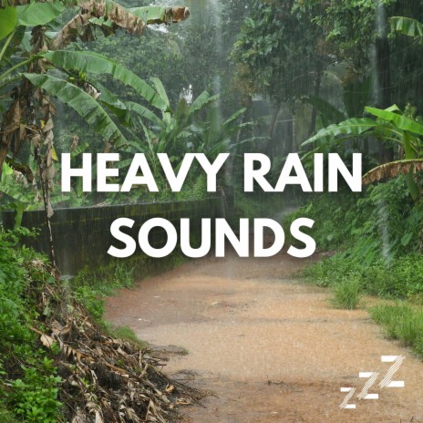 Heavy Rain For Sleep | Boomplay Music