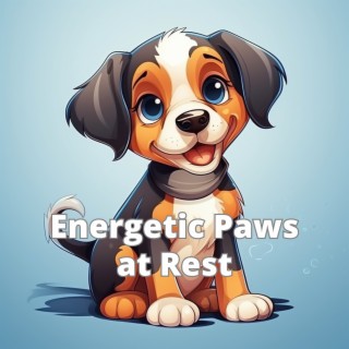 Energetic Paws at Rest: Calming Melodies