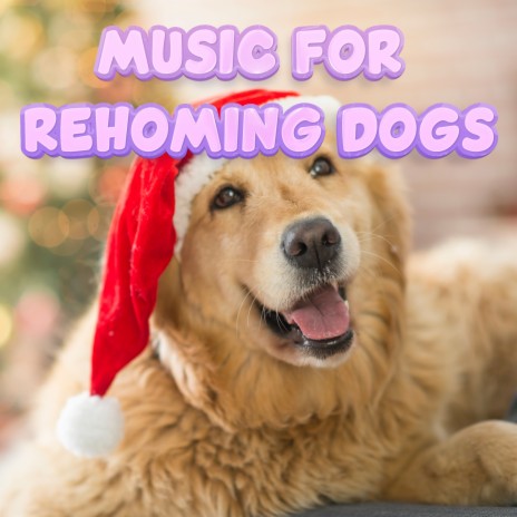 Music to best sale make dogs happy