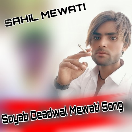 Soyab Deadwal Mewati Song | Boomplay Music