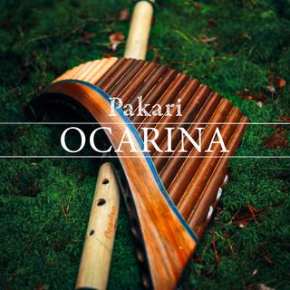 Song Of Ocarina (Panflute Instrumental)