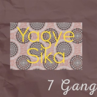 7 Gang