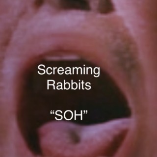 Screaming Rabbits