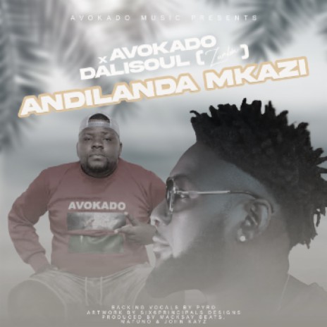 Andilanda Mkazi | Boomplay Music