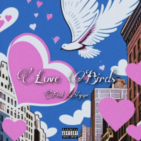 Love Birds ft. Agape | Boomplay Music