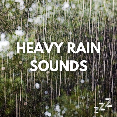 Loop Of Rain Nature Sounds
