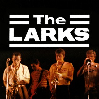 The Larks Live In London