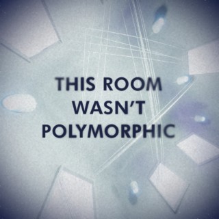 This Room Wasn't Polymorphic