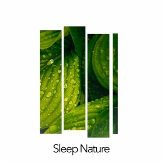 Sleep Nature
