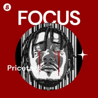 Focus: Pricetagg