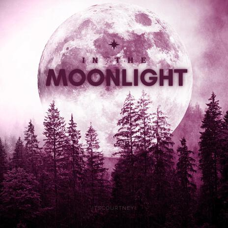 In The Moonlight | Boomplay Music