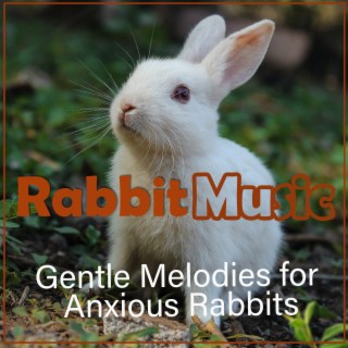 Rabbit Music - Gentle Melodies for Anxious Rabbits