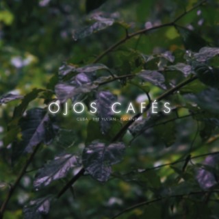 Ojos Cafés ft. The Yulian & Escandar lyrics | Boomplay Music