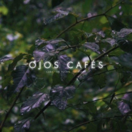 Ojos Cafés ft. The Yulian & Escandar | Boomplay Music