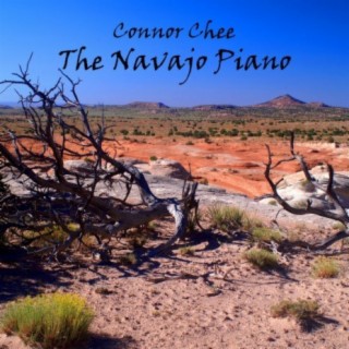 The Navajo Piano