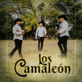 Los Camaleón