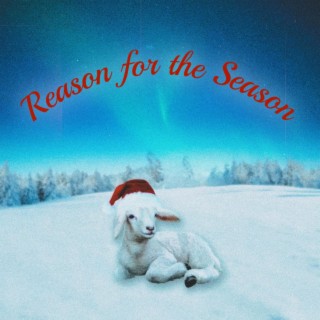 Reason for the Season