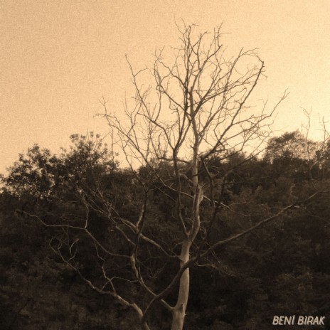 Beni Bırak | Boomplay Music