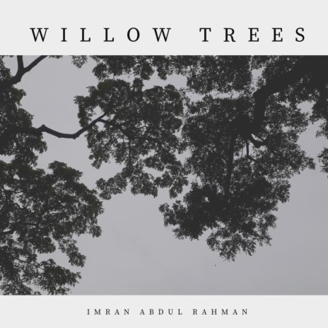 Willow Trees | Boomplay Music