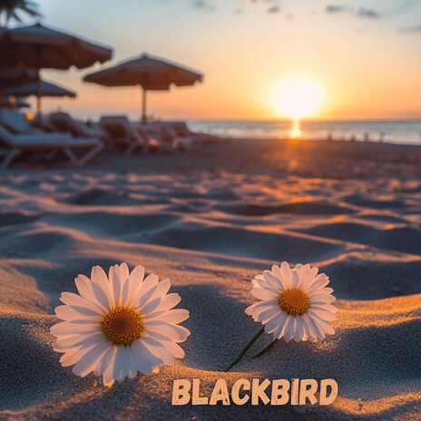 Blackbird