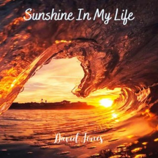 Sunshine In My Life lyrics | Boomplay Music