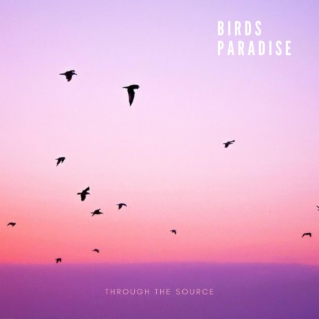 birds Paradise | Boomplay Music
