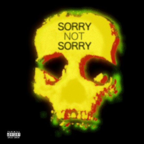 Sorry Not Sorry | Boomplay Music