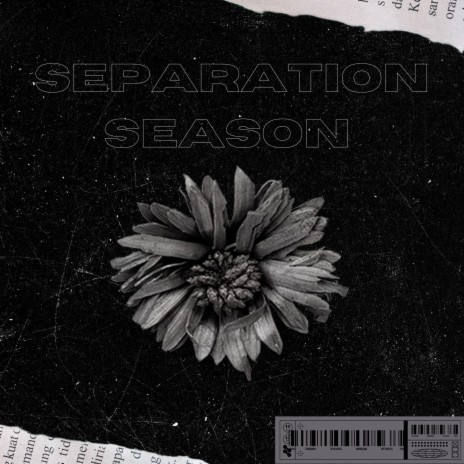 Separation Season | Boomplay Music