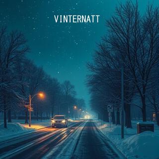 Vinternatt