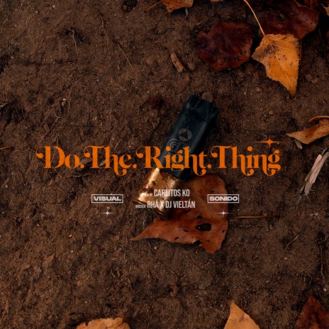 Do The Right Thing ft. Dj Vieltan | Boomplay Music