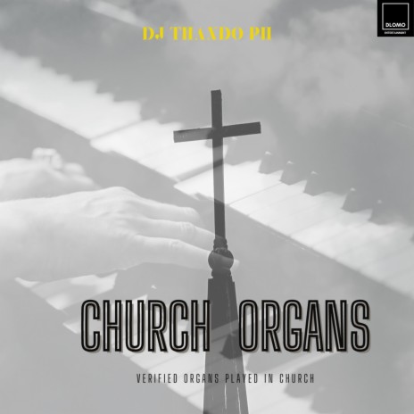 Church Organs | Boomplay Music