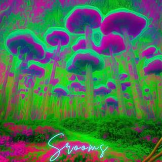 Srooms