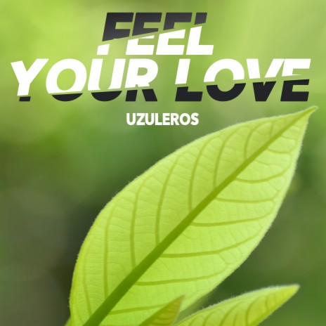 Feel Your Love | Boomplay Music