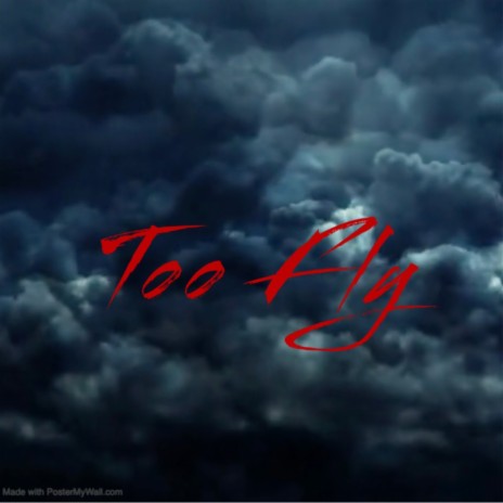 Too Fly | Boomplay Music