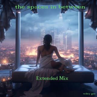 the spaces in between (extended version)