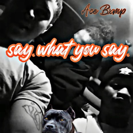 Say What You Say | Boomplay Music