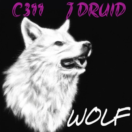 Wolf ft. C311 | Boomplay Music