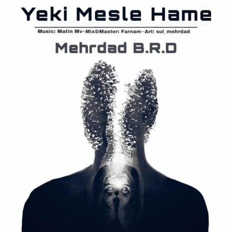 Yeki Mesle Hame | Boomplay Music