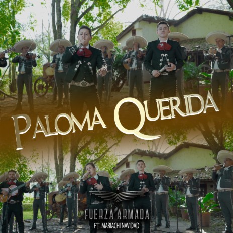 Paloma Querida ft. Mariachi Navidad | Boomplay Music