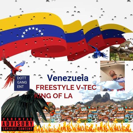 TEC VENEZUELA FREESTYLE | Boomplay Music