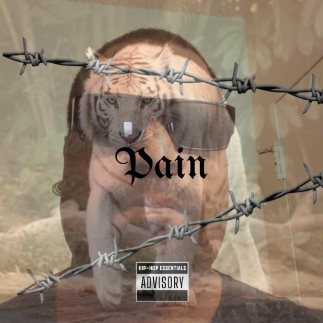 Pain | Boomplay Music