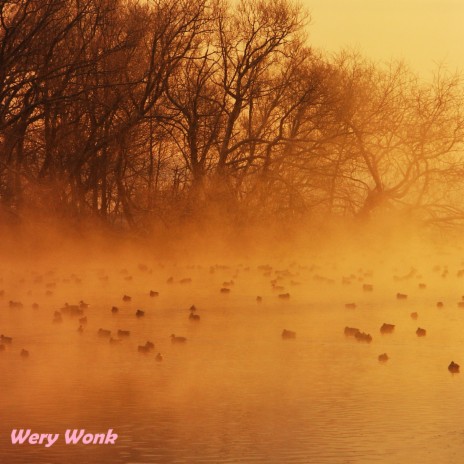 Wery Wonk | Boomplay Music