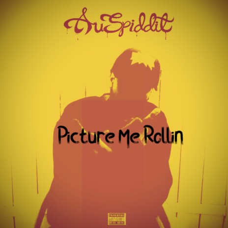 Picture Me Rollin | Boomplay Music