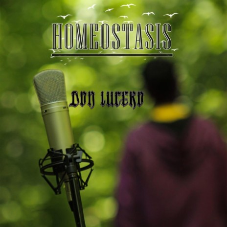 HOMEOSTASIS | Boomplay Music