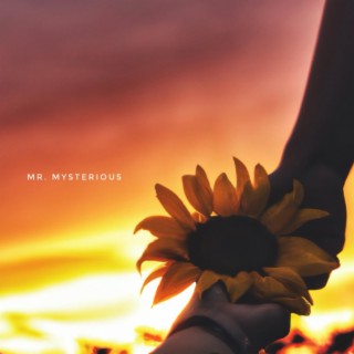 Mr. Mysterious ft. Chris Lettø lyrics | Boomplay Music