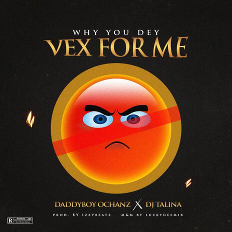 WHY YOU DEY VEX FOR ME ft. DJ TALINA | Boomplay Music