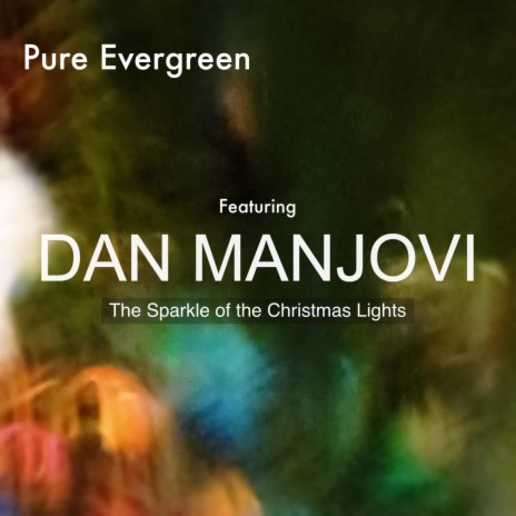 The Sparkle of the Christmas Lights (feat. Dan Manjovi) | Boomplay Music